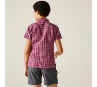 Regatta Regatta Mindano VIII Kurzarmhemd für Damen Pink, Größe: 34