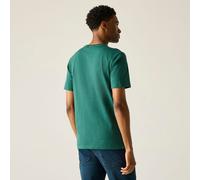 Regatta Kurzarm T-shirt Herren Mann Rendro Grün Xxl