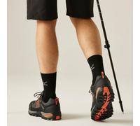 Regatta Samaris III niedrige Wanderschuhe für Herren Grau, Größe: 39