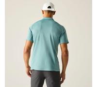Regatta Virda Polo-Shirt für Herren Grün, Größe: 3XL