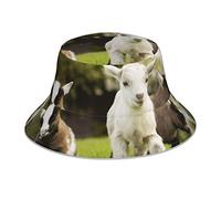 Regenbogen-Wirbel-reflektierender doppelseitiger Fischerhut, doppelseitig, reflektierend, gestreift, Sonnenhut, Fischerhut, Süße Ziege, Einheitsgröße