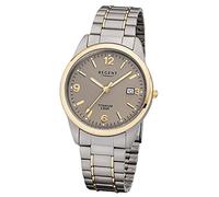 Regent Herren Armbanduhr 1310.91.92 F-1107 Titan gold IP