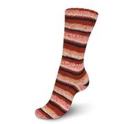 REGIA 4-fach Holy Season Color 7716 - ginger bread color