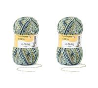 Regia Schachenmayr 4-Fädig Color, 100G sage Handstrickgarne (Packung mit 2)