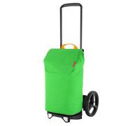 reisenthel Einkaufstrolley Citycruiser Set summer green