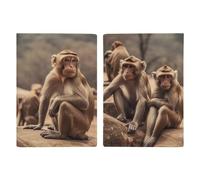 Reisepasshülle aus Leder, Reisepasshülle, Affe sitzend auf Stein, bedrucktes Reisepassbuch für Dokumente, Reisegeschenke, Affe sitzt auf Stein, 20.3x13.8cm