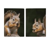 Reisepasshülle, Eichhörnchen, Tier, Reisepasshülle, PU, Reisepasshülle, Brieftasche, Reisepasshülle, Uni, Reisepassschutz, Stil, 20,3 x 13,8 cm, Stil:, 20.3x13.8cm