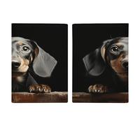 Reisepasshülle für Dackel, Reisepasshülle, PU, Reisepasshülle, Brieftasche, Reisepasshülle, Uni, Reisepassschutz, Stil, 20,3 x 13,8 cm, Stil:, 20.3x13.8cm