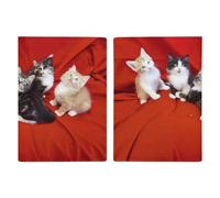 Reisepasshülle für Katzen, ultradünn, PU-Leder, Reisedokumenten-Organizer, kompakt, Premium, internationaler US-Pass, Schutzhülle für Damen und Herren