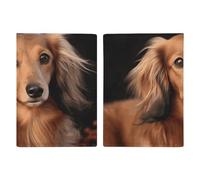 Reisepasshülle für Langhaar-Dackel, mit Kreditkartenfächern und Bordkarten-Schlitz, Reisepass-Halter für Reisepässe, Kreditkarten, Bordkarten