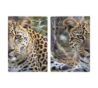 Reisepasshülle mit afrikanischem Tier-Leopardenmuster, ultradünn, PU-Leder, Reisedokumenten-Organizer, kompakt, Premium, internationaler US-Pass, Schutzhülle für Damen und Herren