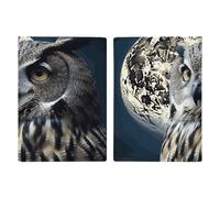 Reisepasshülle mit Eule und Mond, Kreditkartenfächern und Bordkarten-Schlitz, Reisepasshülle für Pässe, Kreditkarten, Bordkarten