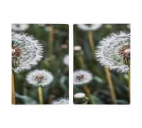 Reisepasshülle mit Löwenzahn-Motiv, ultradünn, PU-Leder, Reisedokumenten-Organizer, kompakt, Premium, internationaler US-Pass, Schutzhülle für Damen und Herren, Weiß