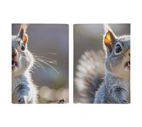 Reisepasshülle mit niedlichem Eichhörnchen-Motiv, Reisepasshülle mit Kreditkartenfächern und Bordkartenfach für Reisen, Familienausweis, Dokumenten-Organizer (20,3 x 13,7 cm)