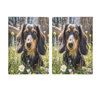 Reisepasshülle mit süßem Dackel, ultradünn, PU-Leder, Reisedokumenten-Organizer, kompakt, Premium-internationaler US-Reisepass-Schutzhülle für Damen und Herren