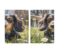 Reisepasshülle mit süßem Dackel, ultradünn, PU-Leder, Reisedokumenten-Organizer, kompakt, Premium-internationaler US-Reisepass-Schutzhülle für Damen und Herren