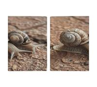 Reisepasshülle mit zwei Schneckenmuster, ultradünn, PU-Leder, Reisedokumenten-Organizer, kompakt, Premium, internationaler US-Pass, Schutzhülle für Damen und Herren