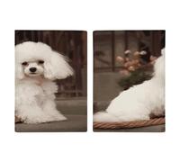 Reisepasshülle, Motiv: französischer Pudel, ultradünn, PU-Leder, Reisedokumenten-Organizer, kompakt, Premium-internationaler US-Pass, Schutzhülle für Damen und Herren