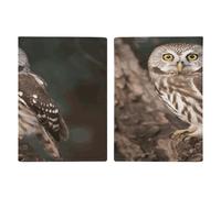 Reisepasshülle, Motiv: Wildtiere, Eule, Reisepasshülle, PU, Reisepasshülle, Brieftasche, Reisepasshülle, Uni, Reisepassschutz, Stil, 20,3 x 13,8 cm, Stil:, 20.3x13.8cm