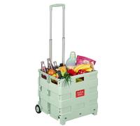 Relaxdays Einkaufstrolley, zusammenklappbar, Einkaufskorb mit Rollen, Teleskopgriff, bis 35 kg, Klapptrolley, Salbei