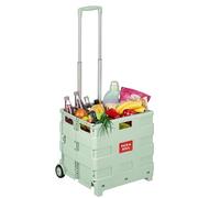 Relaxdays Einkaufstrolley, zusammenklappbar, Salbei | Einkaufskorb mit Rollen, Teleskopgriff, bis 35 kg, Klapptrolley