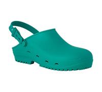 REPOSA MAX Clogs, Hygieneclogs, natürliches antistatisches Polymer, latexfrei, bequem, leicht, geschlossenes Obermaterial, Seitenlöcher, anatomische Sohle, SRC-Sohle,Grün,42 EU