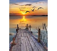 Reuzstich Stickpackung 11Ct Sticken Set Erwachsene Kreuzstichlandschaft Sonnenuntergang Strand Wellen Gedruckt 11Ct Kreuzstich,40X50Cm Diy Stickbilder Vorgedruckt Kreuzstich Für Anfänger Home Decor