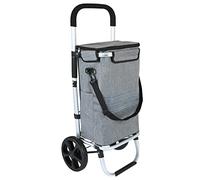 Ribelli Einkaufstrolley mit Kühlfach, Einkaufswagen Klappbar bis 45 kg, Hochwertiger Aluminium Rahmen, Einkaufsroller mit Seitentaschen, Abnehmbare Tasche als Tragetasche Nutzbar, Grau 500712