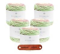 Rico Design CREATIVE RICORUMI SPIN SPIN DK 20 ICECREAM Premium Wolle 5 x 50g harmonisches Farbverlaufsgarn für Amigurumi Figuren Babyspielzeug Deko und kreative Häkelideen mit mySearose Label
