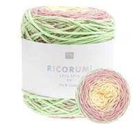 Rico Design Ricorumi Spin Spin Garn – 50 g feine Baumwolle – Farbe 20 Verlauf Icecream