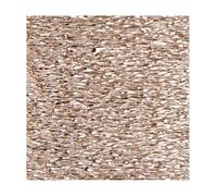 Rico Design Stickgarn - Metallicfarbe - Champagne