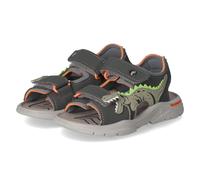 RAPTOR grigio/grau - Gr. - 25