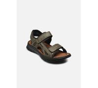 FSK Herren Sandalen olive/moos/pesto - Gr. - 45