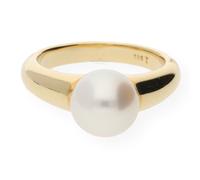 Ring Gold 585 Süßwasser Zuchtperle JL30-07-0125 JuwelmaLux