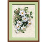 RIOLIS 1351 Weiße Heckenrose Zählmuster-Kreuzstich-Set 21 x 29.8 cm | Blumen Motiv, 14 ct flachsfarben Zweigart Aida, 17 Wolle/Acryl Farben, Anfänger bis Mittelstufe
