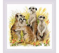 RIOLIS 1761 Erdmännchen Zählmuster-Kreuzstich-Set 25 x 25 cm | Tiere Motiv, Stickvorlage & Nadel inklusive, Stick-Geschenkset