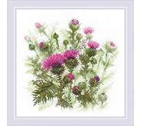 RIOLIS 1852 Distel Zählmuster-Kreuzstich-Set 30 x 30 cm | Blumen Motiv, 10 ct weiß Zweigart Aida, 15 Wolle/Acryl Farben, Mittelstufe, Stickvorlage & Nadel inklusive