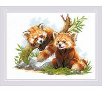 RIOLIS 2257 Junge Rote Pandas Zählmuster-Kreuzstich-Set 40 x 29.8 cm | Tiere Motiv, 14 ct weiß Zweigart Aida, 21 Wolle/Acryl Farben, Mittelstufe, Stickvorlage & Nadel inklusive