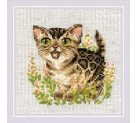 Riolis Kreuzstich Set "Bengal-Kätzchen ", Zählmuster, 15x15cm