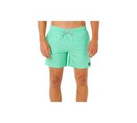Green Sd Rip Curl Offset Daily Volley Swimming Shorts Grün L Mann