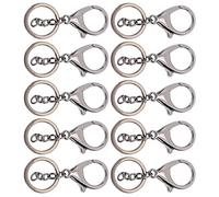 Riuulity 10 Stück Schlüsselanhänger mit Karabinerhaken, Langlebiger Schlüsselanhänger aus Legierung mit Lichtbeständiger Beschichtung für Schlüssel, Bekleidungszubehör (Gray)