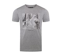 riverso Herren T-Shirt RIVCharly Fotodruck Rundhals Kurzarm Tee Shirt Regular Baumwolle Tierdruck Grau 5XL, Größe:5XL, Farbe:Grau (AJD)