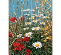 RKFLGEW Diy Perlen Zum Sticken Cartoon-Blumen Und -Pflanzen Kreuzstich-Nadelstich-Handarbeit,Wandteppich-Set,Perlenstickmuster,3D-Wandmalerei 50x70 cm