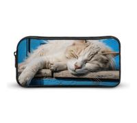 Rkklvbns Großes Federmäppchen mit schlafender Katze, tragbares Federmäppchen mit Reißverschluss, Schreibwaren-Organizer, einfache Aufbewahrung, ästhetisches Schreibwaren für Büro, Uni, Erwachsene