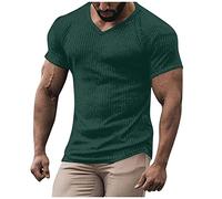 RMBLYfeiye Shirt Langarm Herren Mittelalter Hemd Herren Hemd Herren V-Ausschnitt Einfarbiges Gerippt Sport Tshirts Slim Fit Trägershirt Regular Fit Workout T Shirt T-Shirt (Grün, XL)