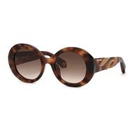 ROBERTO CAVALLI SRC010M 0AGG Avana Vintage Lucida Sunglasses Unisex Acetate, Rounded, 52