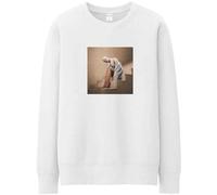 Rock Off officially licensed products Ariana Grande Staircase Sweatshirt M