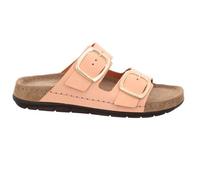 Rohde LACHS - Gr. - 37