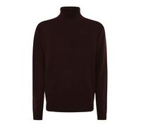 Rollkragenpullover PIERRE CARDIN "Pierre Cardin Pullover", Herren, Gr. M, braun (mole), Obermaterial: 96% Wolle WO. 4% Kaschmir WS., uni, regular fit, Pullover Rollkragenpullover, in schlicht zeitlose