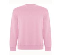 Roly Eco Unisex Sweatshirt Pullover Rundhals Sweater Pulli Pink (Light) XL